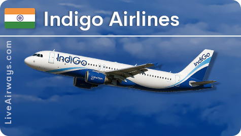 IndiGo