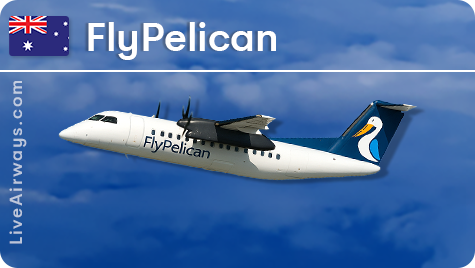 FlyPelican